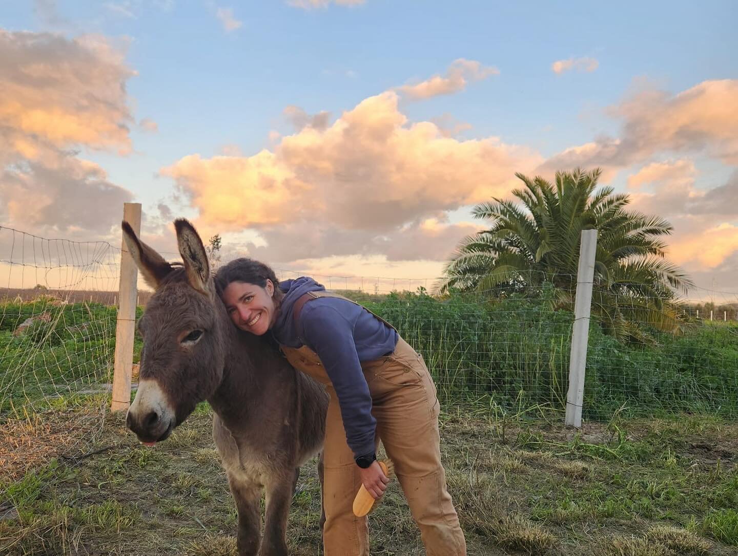 Rogelio inspeccionando el terreno